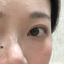 늘봄브로우 | 양재역속눈썹펌 메럴리브로우 바짝 올라간 케라틴펌 만족후기