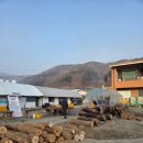 서여주세종영농조합법인 | 청양 알프스마을 얼음분수축제 솔직 후기