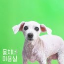 뭉치네 미용실 이미지