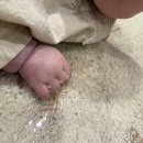 킹콩1985 이미지