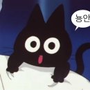 야옹아멍멍해봐 리딩샵 이미지