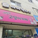 내친구고양이 | 면목동 고양이카페 후기 사가정내친구고양이카페