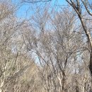 이목안포로 이미지