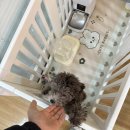 안산미디어도서관 | 안산 마사지추천 퍼스트풋샵 마사지 안산고잔점 후기