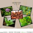 하라힐즈 네이버블로그