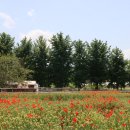 문암목장 이미지