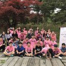 신영숙콜렉션 이미지