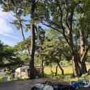 숙호 | &lt;남해 캠핑장&gt;나만 알고 싶은 곳 숙호 야영장 요금 이용후기 낚시 포인트