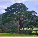 솔고개로 이미지