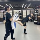 강진태권도체육관 이미지