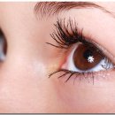 보떼메이트 이미지