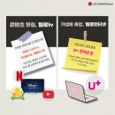 다홍비전 네이버블로그