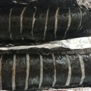 동주김밥