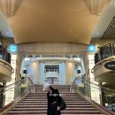 엠마컴퍼니 | la 여행 코스 추천 당일치기 그리피스 천문대 산타모니카 해변 베버리힐즈 할리우드 미국 la 시티 일일투어