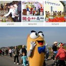 순천만 갈대 축제 및 남도 음식축제 이미지