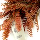 한스엔N 이미지