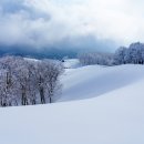 남사게이트볼장 이미지