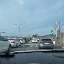 해남읍5일시장 | 전남 해남 고흥 애견동반 여행 :: 맛집 숙소 2박3일 코스 가볼만한곳 추천 총정리