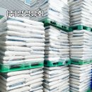 유안약품 이미지