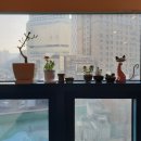 닥터요한 의원 이미지