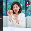 회박사 이미지