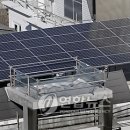 벨리 태양광발전소 이미지