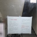 (주)천안대로셀프 화장실 | 서천 34평 신혼집 셀프인테리어 후기
