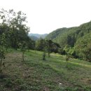 일반성면사무소 이미지