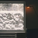 벵디1967 이미지