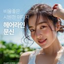 채움;결