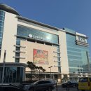 (주)신세계의료기 | [롯데백화점 대구점 문화센터] “북극곰의 오감정류장” 5-8개월 후기