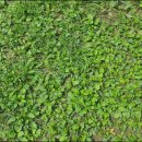 만성농장 이미지