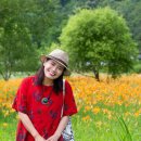 시원 카카오 검색결과