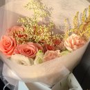 소니아플레르