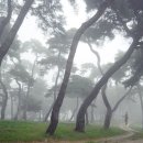 공주-10 이미지