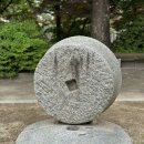 UR(순천시)-[승주로]-하-16 | [고려대학교 박물관] 고려대학교 캠퍼스에 야외 유물의 등장이라