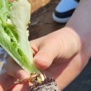 영기농장 이미지