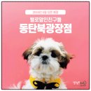털로덮인친구들 동탄북광장점 | 털로덮인친구들 동탄북광장점 | 사회화 교육 중심의 애견 유치원 털로덮인친구들. 동탄북광장점 오픈...