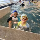 팜비치 | 거제 가성비 펜션 추천, 미온수 수영장 있는 씨앤스카이 팜비치 202호 후기