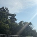 마서면머물다 | 서천카페 "마서면머물다" 뷰가 예술인 군산근교 카페