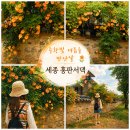 용포동 | 주황빛 여름을 만난 날, 세종 홍판서댁