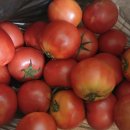 수밀농장 이미지