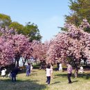 성산패총로-2 이미지