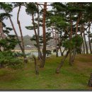 목계숲 2 이미지