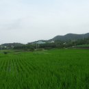 금산삼거리 이미지