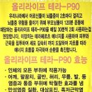 컬러하우스 이미지