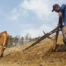 워낭소리 이미지