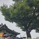 두정1리마을회관 이미지