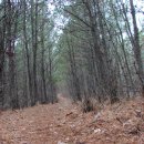 근계2리 이미지