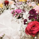 오산한국병원 이미지